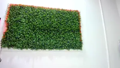 Recorded video of Kally_K on MyFreeCams (MFC) thumbnail