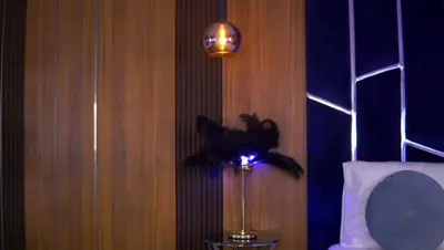 Recorded video of TaliaLure on MyFreeCams (MFC) thumbnail