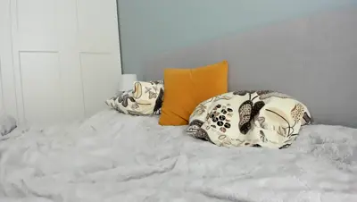 Recorded video of Pixelss on MyFreeCams (MFC) thumbnail